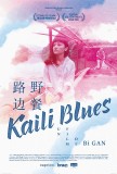 KAILI BLUES: une affiche officielle pour la révélation chinoise