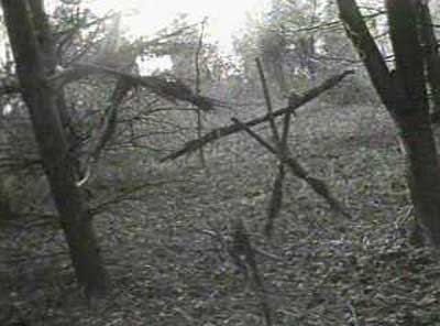 Le Projet Blair Witch