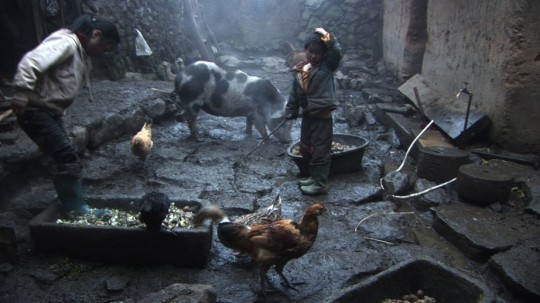 Seules, dans les montagnes du Yunnan