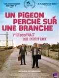 Un pigeon perché sur une branche philosophait sur l’existence