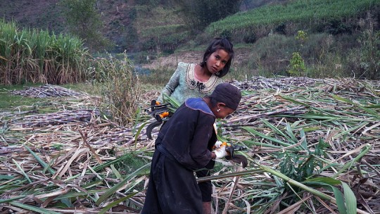 TA'ANG: premières images du nouveau Wang Bing sélectionné à la Berlinale