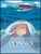 Ponyo sur la falaise