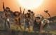 BOX-OFFICE US: les Croods dévorent le weekend ?