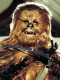 STAR WARS VII: le véritable Chewbacca est de retour