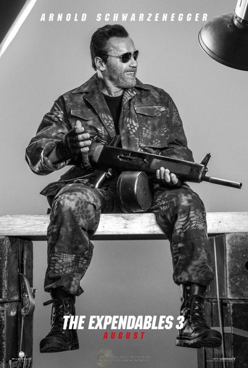 EXPENDABLES 3: premières affiches pour Stallone, Gibson, Schwarzy et Harrison Ford