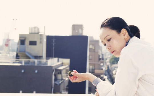 Dossier Naomi Kawase