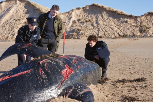 LA SAMAIN DU CINÉMA FANTASTIQUE 2012: le palmarès