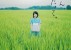 OJII-CHAN, SHINJYATTATTE: une belle affiche pour le drame japonais