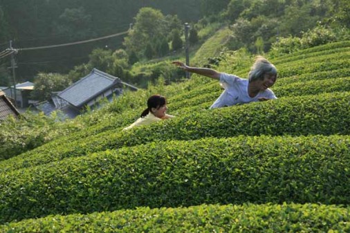 Naomi Kawase