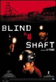 Blind Shaft