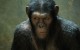 La Planète des singes : Les Origines