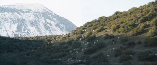 EL INVIERNO: premières images de la découverte argentine