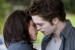 Twilight - Chapitre 2 : Tentation