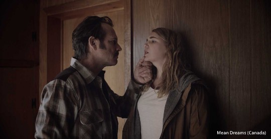 FESTIVAL DU FILM POLICIER DE BEAUNE 2017: gros plan en images sur la compétition Sang Neuf