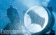 BATMAN V SUPERMAN: nouvelles images pour le blockbuster