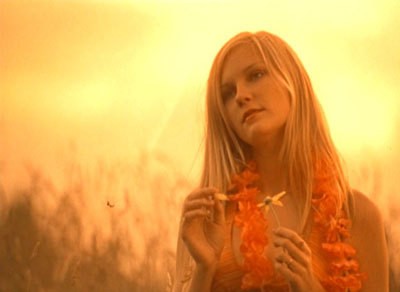 Virgin Suicides