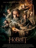 Le Hobbit : la Désolation de Smaug