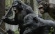 Box-Office US: les primates à l'attaque