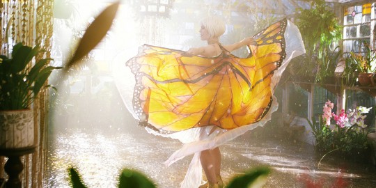THE BUTTERFLY TREE: 1res images d'une comédie dramatique australienne haute en couleurs