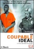 Un coupable idéal
