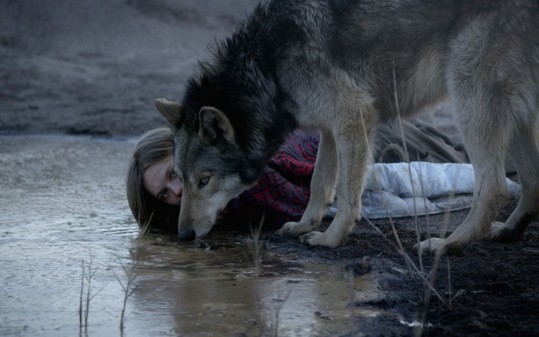 Festival du Cinéma Allemand: Sauvage