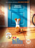 BOX-OFFICE US: les chiens et chats dévorent la concurrence + un record pour Pixar