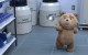 Ted 2