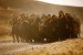 Festival de Cannes 2011: la sélection Un Certain Regard