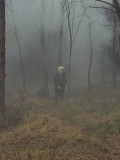 VALLEY OF SHADOWS: gros plan sur un film de fantôme norvégien