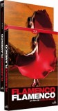 Flamenco Flamenco