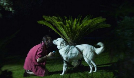 AFTERLOV: premières images d'une découverte grecque du Festival de Locarno