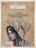 Découvertes FilmDeCulte: Inflame