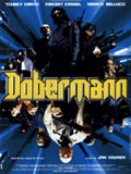 Dobermann