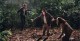 INDIANA JONES ET LE ROYAUME DU CRANE DE CRISTAL: Toutes les photos