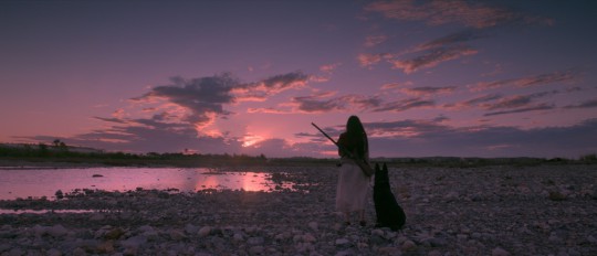 FESTIVAL DE TOKYO 2016: le palmarès