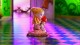 THE NUTCRACKER: des images extravagantes pour le film animé japonais