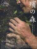 Le cinéma de Naomi Kawase