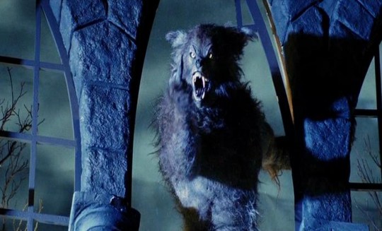 Coeur de loup: chroniques lunaires du loup-garou