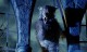 Coeur de loup: chroniques lunaires du loup-garou